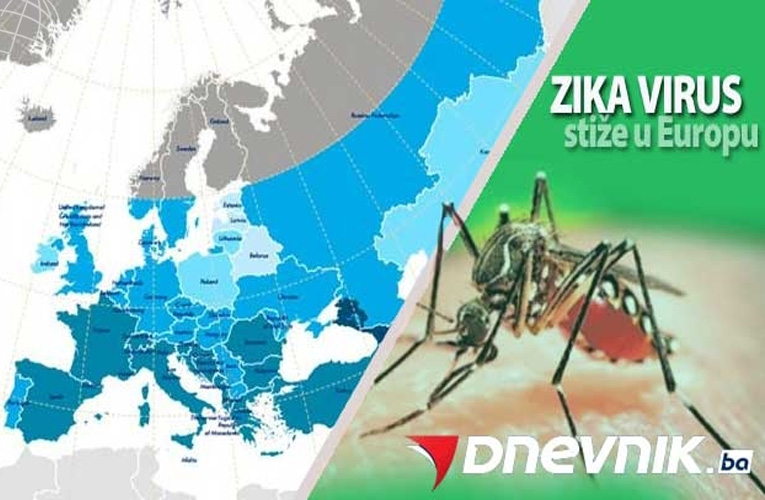 zika virus