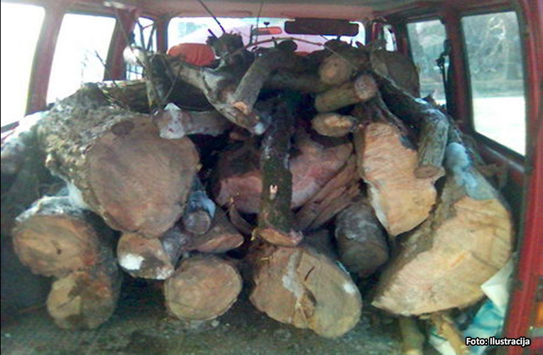 drva u kombiju