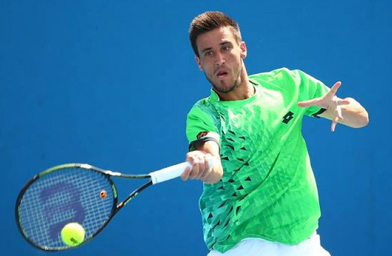 damir dzumhur