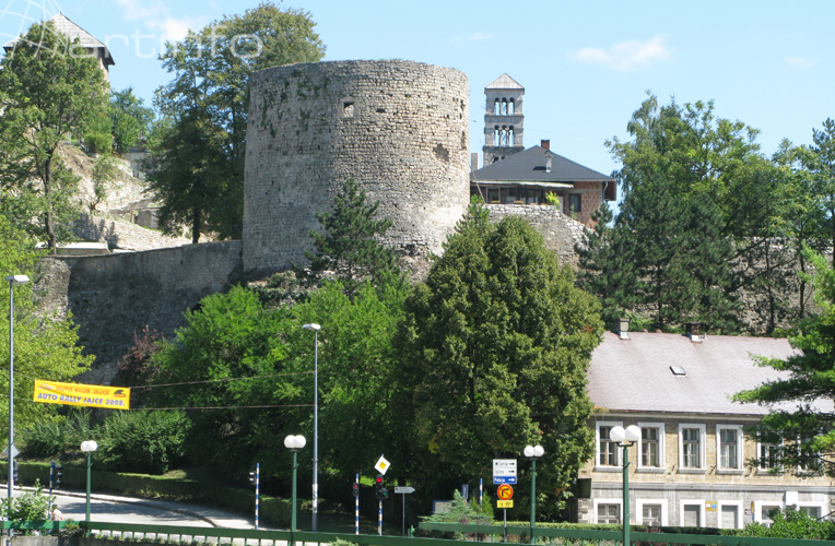 medvjed kula