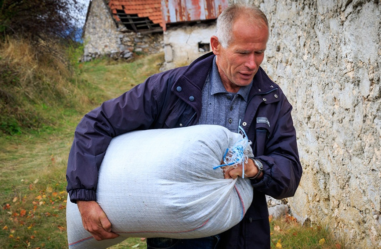 stipo jozic