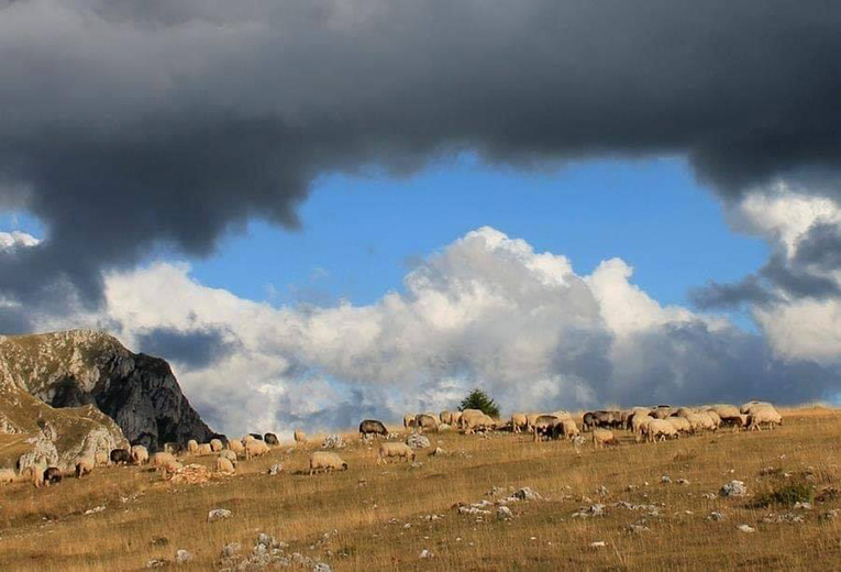 izlozba fotografija nenad bratic 2