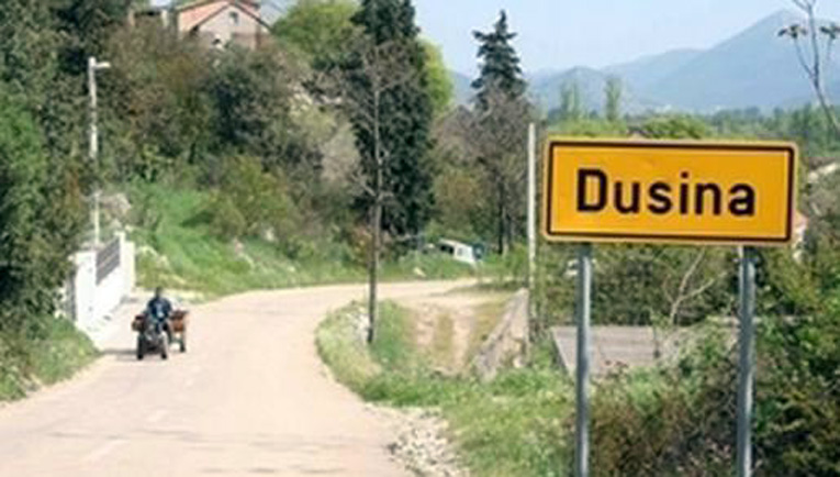 dusina-zenica