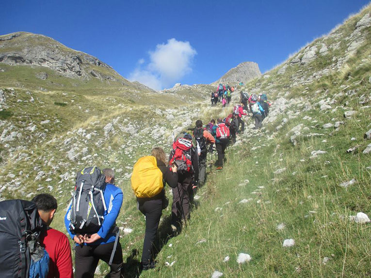 planinari suma planina