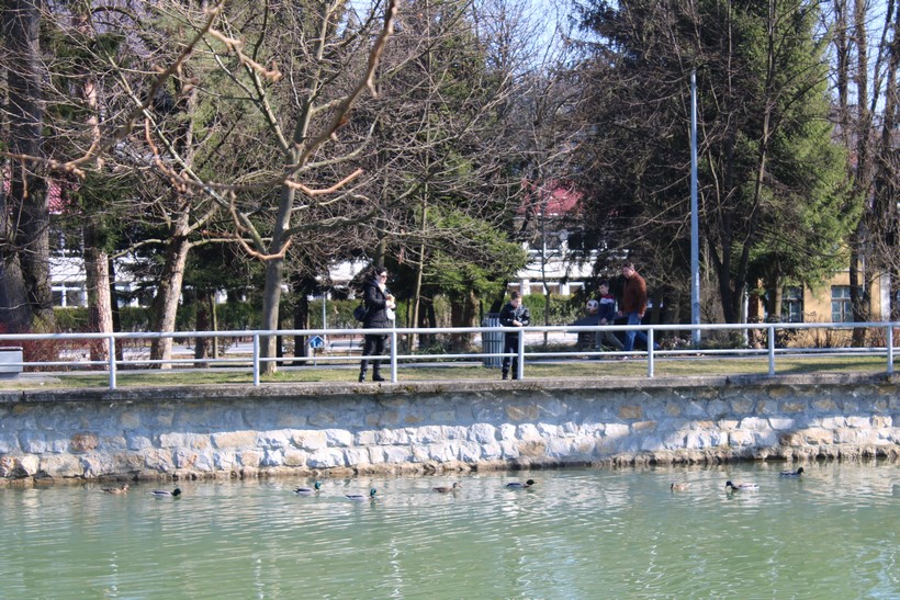 IMG_0694.JPG