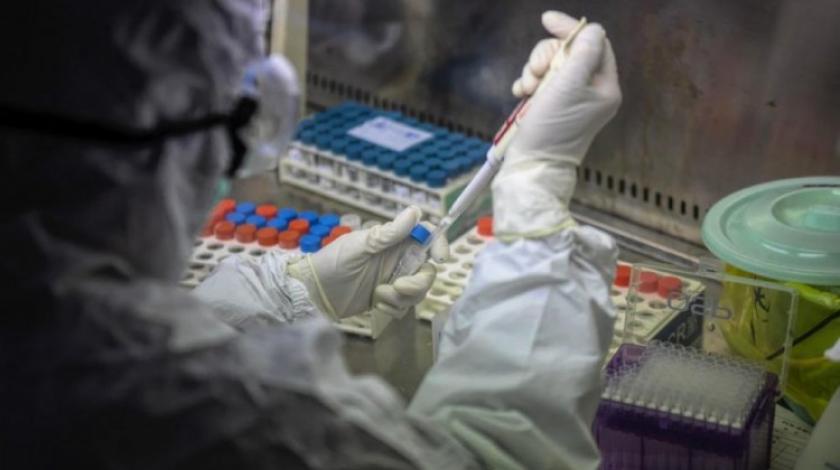 covid19_koronavirus_epa-efe-1000x600.jpg