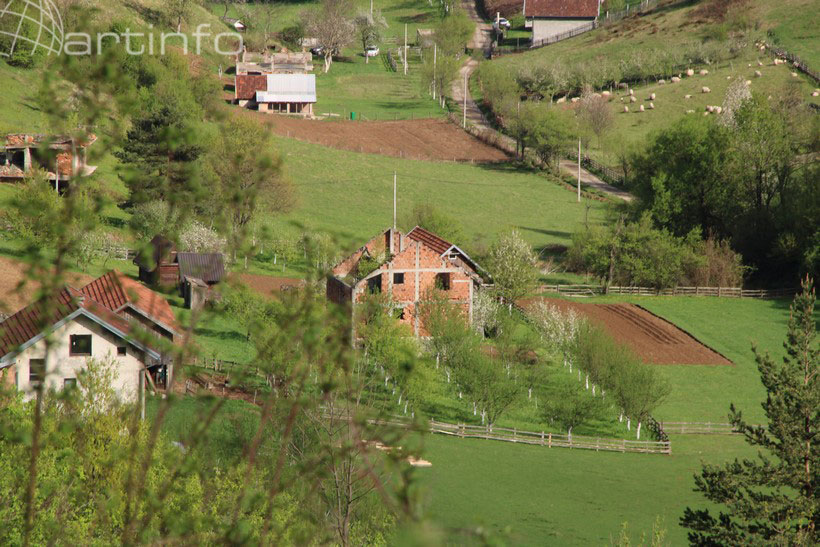 pirin suma