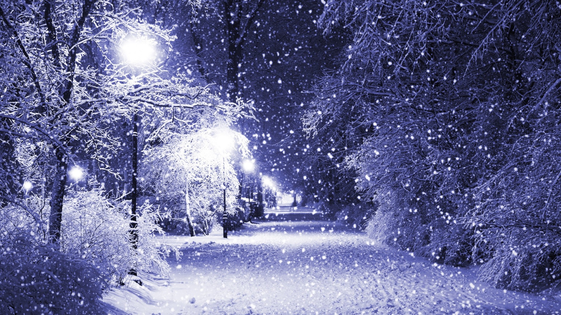 winter-snow-2.jpg