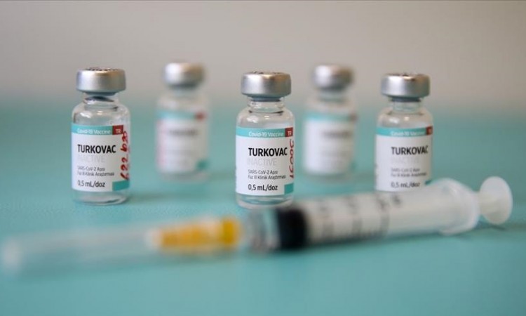 Turska_vakcina_Turkovac.jpg