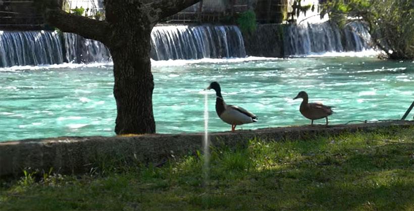 blagaj priroda patke