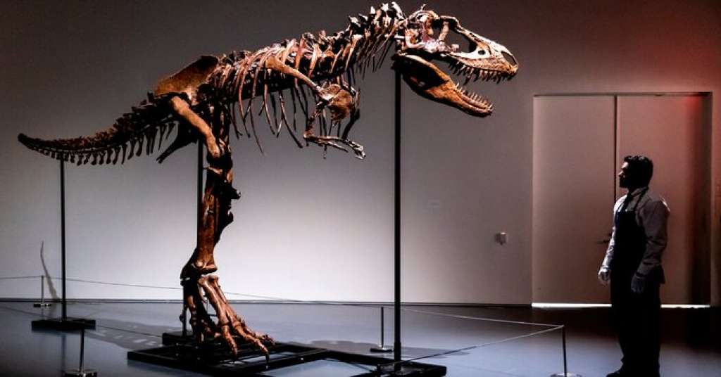 dinosaur-kosti-fosil.jpeg