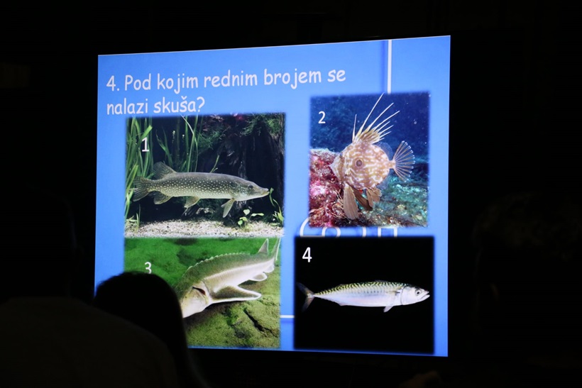 f9e2901f-3000-43d1-a9bc-2248d9948150.jpg