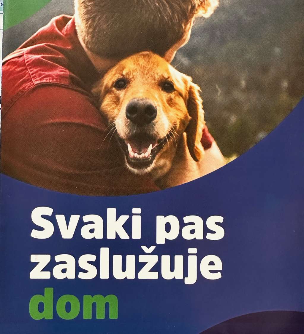 pas_zasluzuje.jpeg