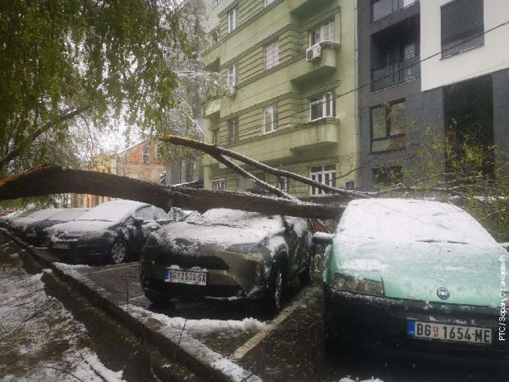 snijeg-auti-stabla.jpg
