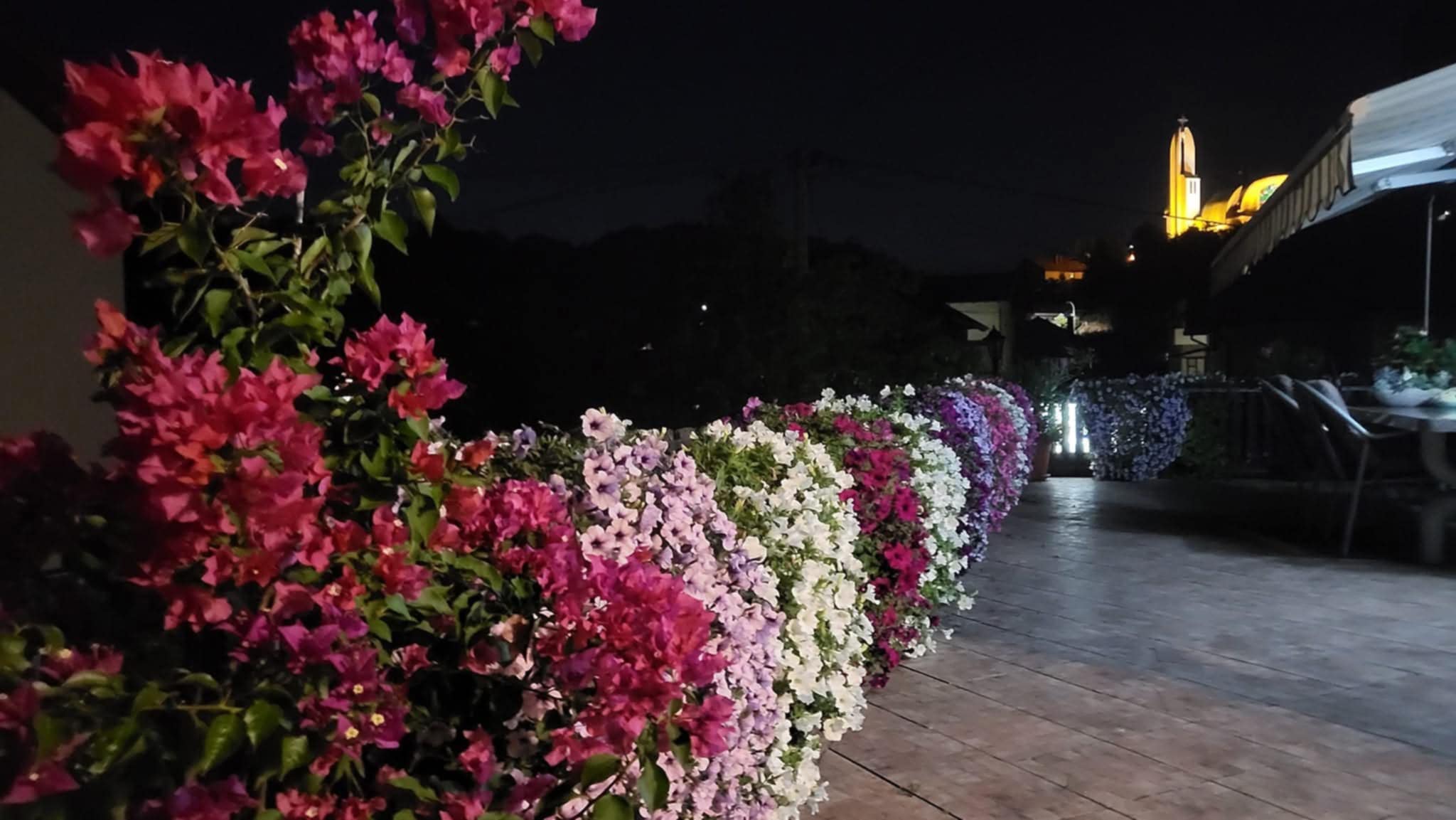 246d1520-37ef-4630-b86d-933ec1e17845.jpeg