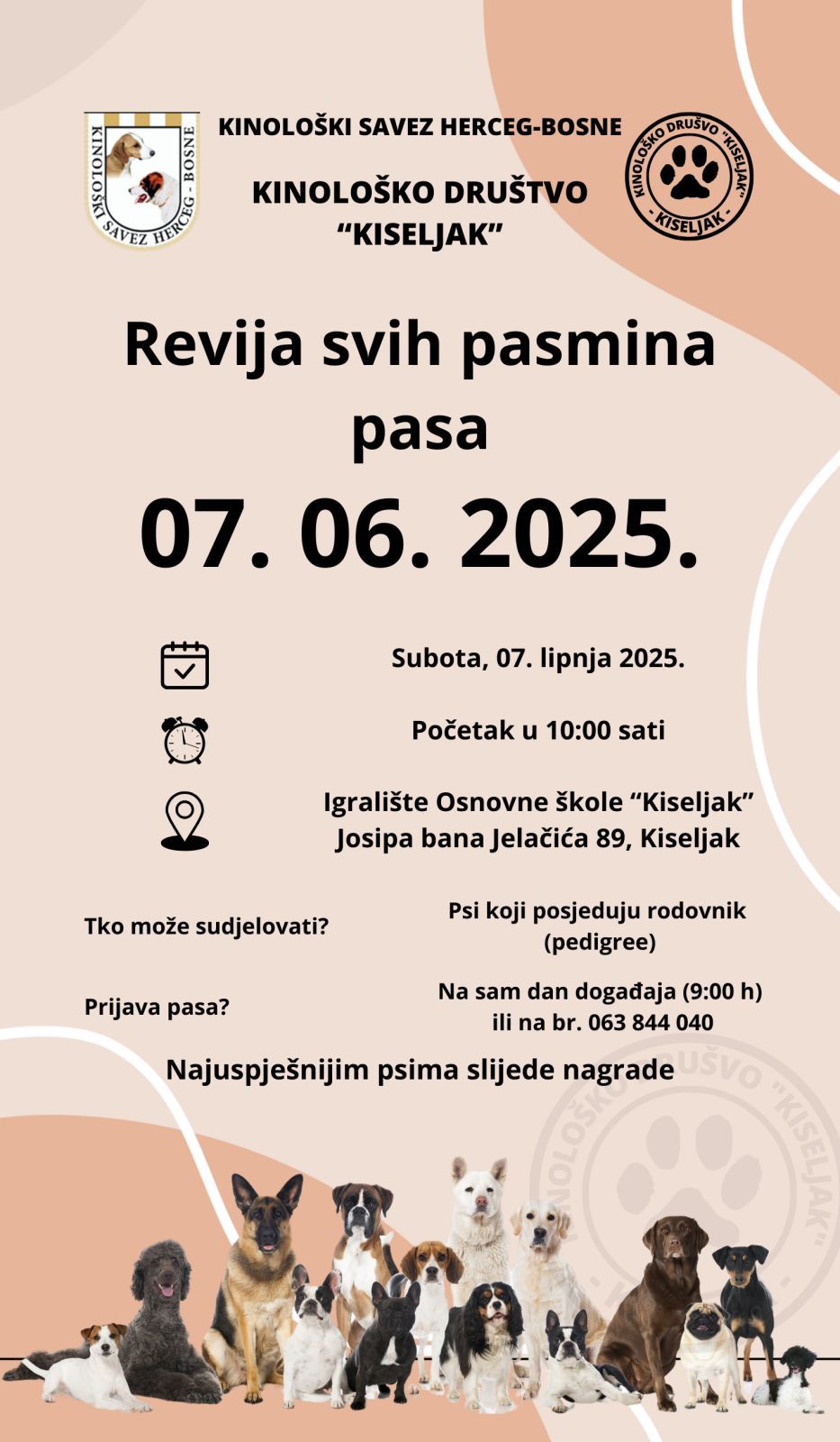 496302462_122227993730224058_4172956604121036372_n.jpg