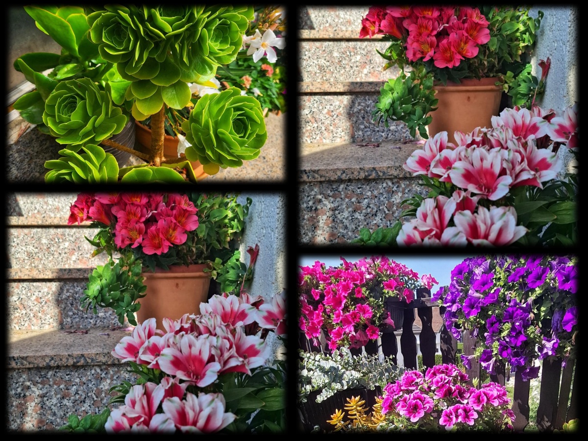 collage_-_2025-07-04T200213.346.jpg