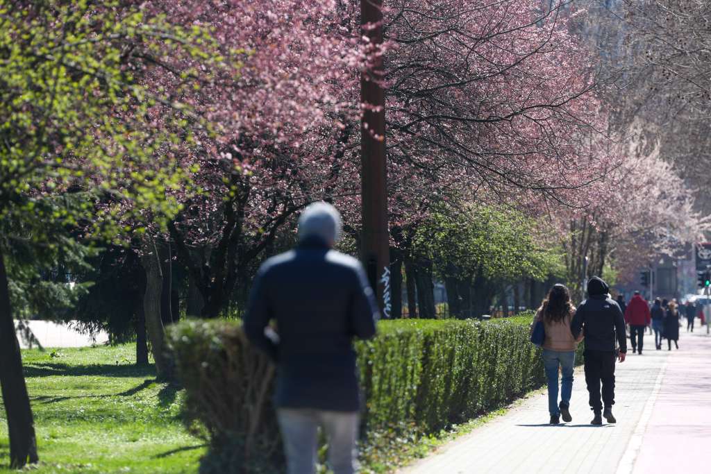 l_a59a7bf09cae30db157821792c8698cc.jpg