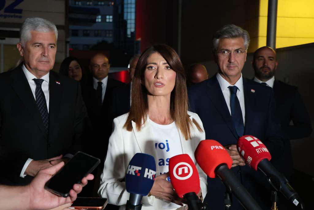 plenki_covic_darijana.jpg