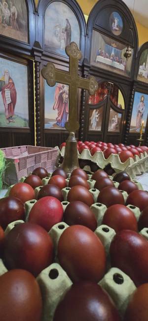 666600348_876005305548310_6278068361962830750_n_original